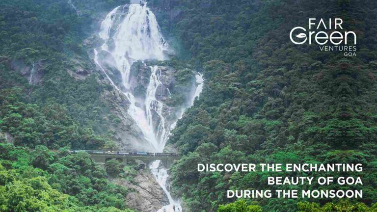 Discover the Enchanting Beauty of Goa During the Monsoon